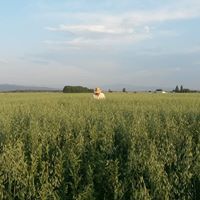 Farmer in a field