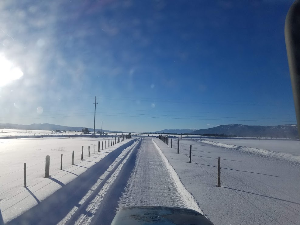 View of one of the long driveways I plow.