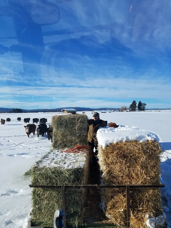 My Farmer feeding