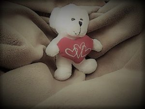 Heart bear