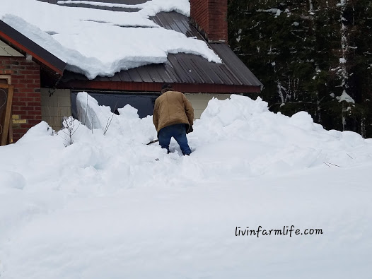 My Farmer shoveling