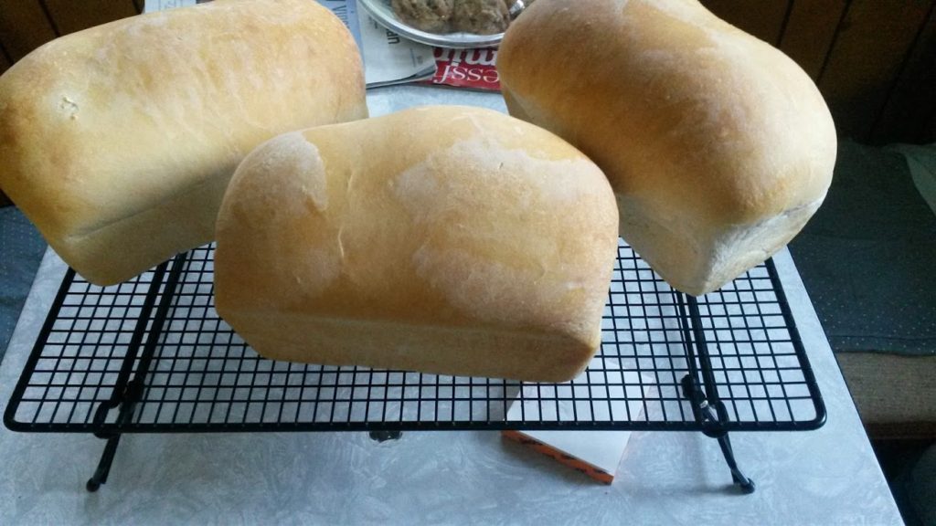 loafs of bread