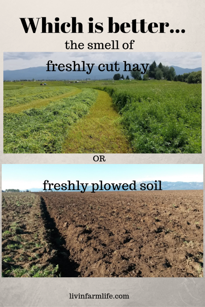 cut or soil