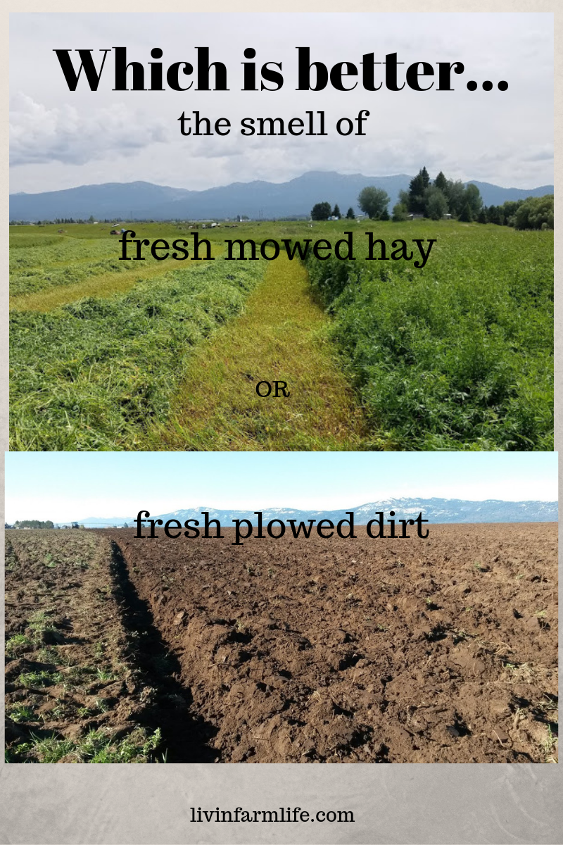 what-s-best-the-smell-of-fresh-cut-hay-or-fresh-plowed-soil-livin-the-life-the-farm-life