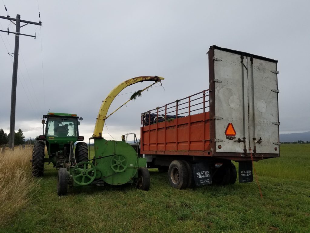 green chopping into the truck