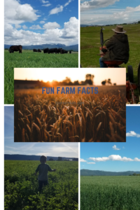fun farm facts