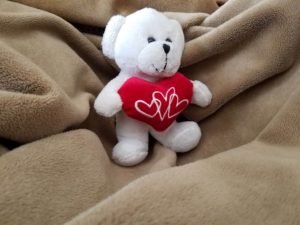 teddy bear and heart