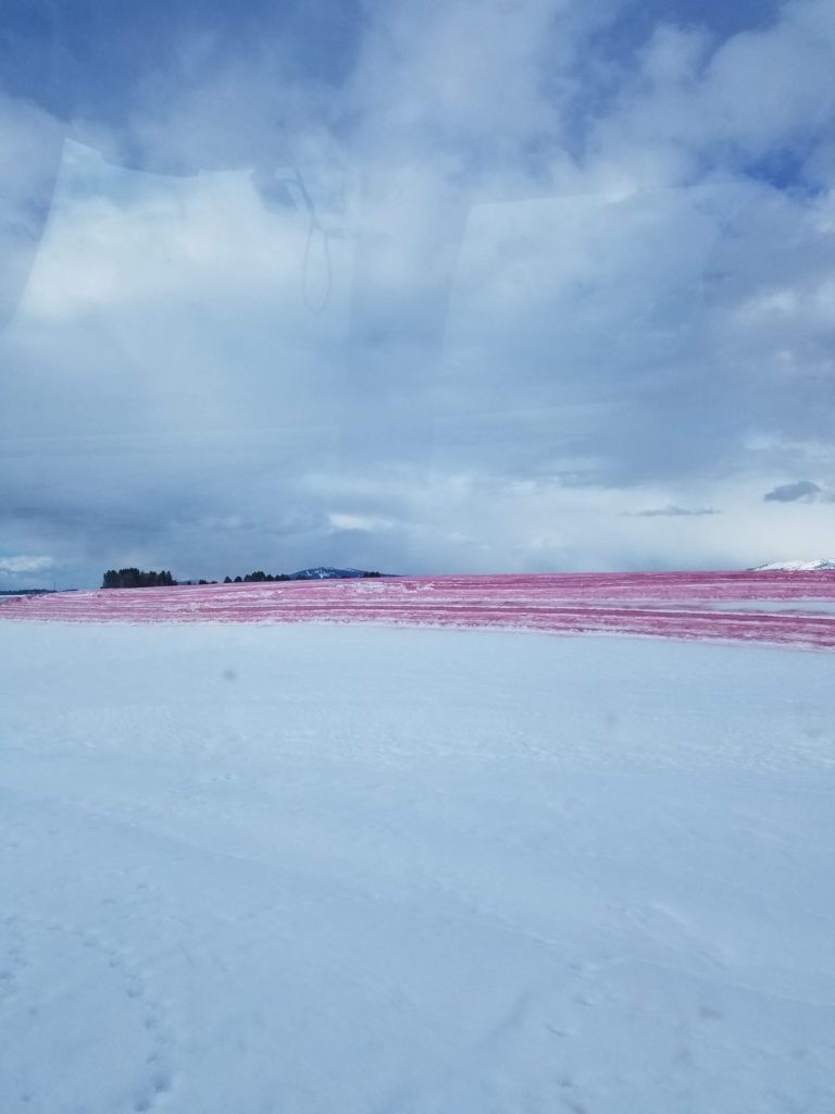 Red lime on field