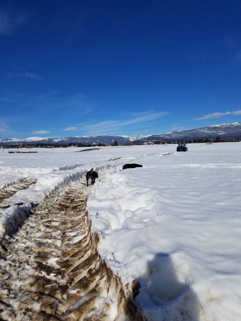 making tracks