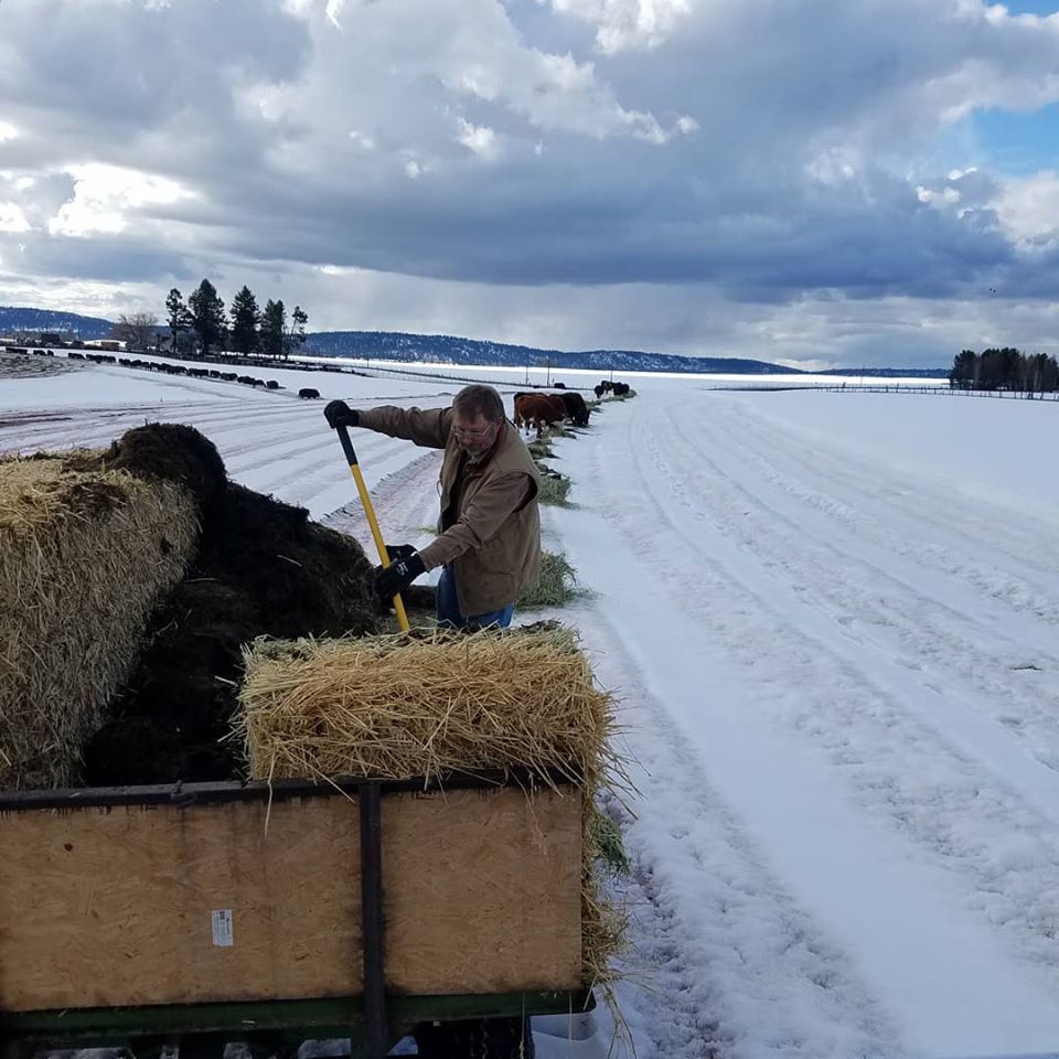 my Farmer feeding