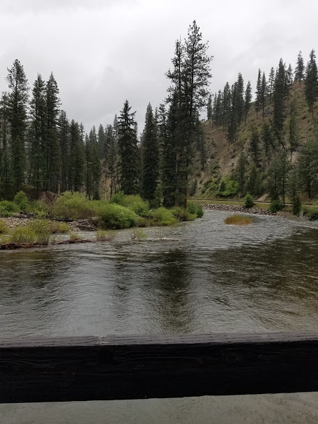 bridge overlook